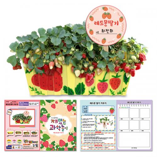 [만들기대장]나만의 딸기밭 만들기(기록지포함)